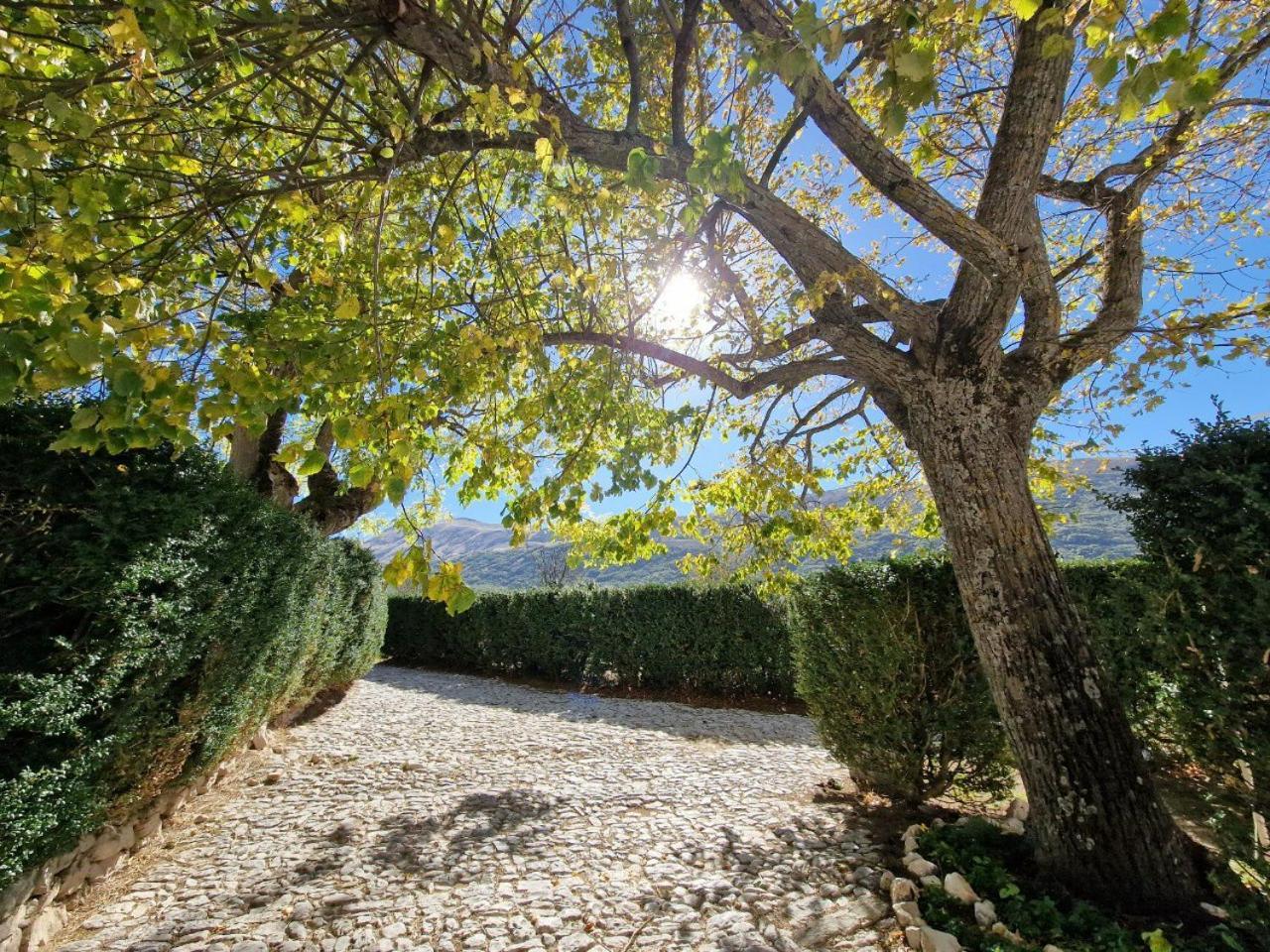 Palazzo Palitti Bed & Breakfast